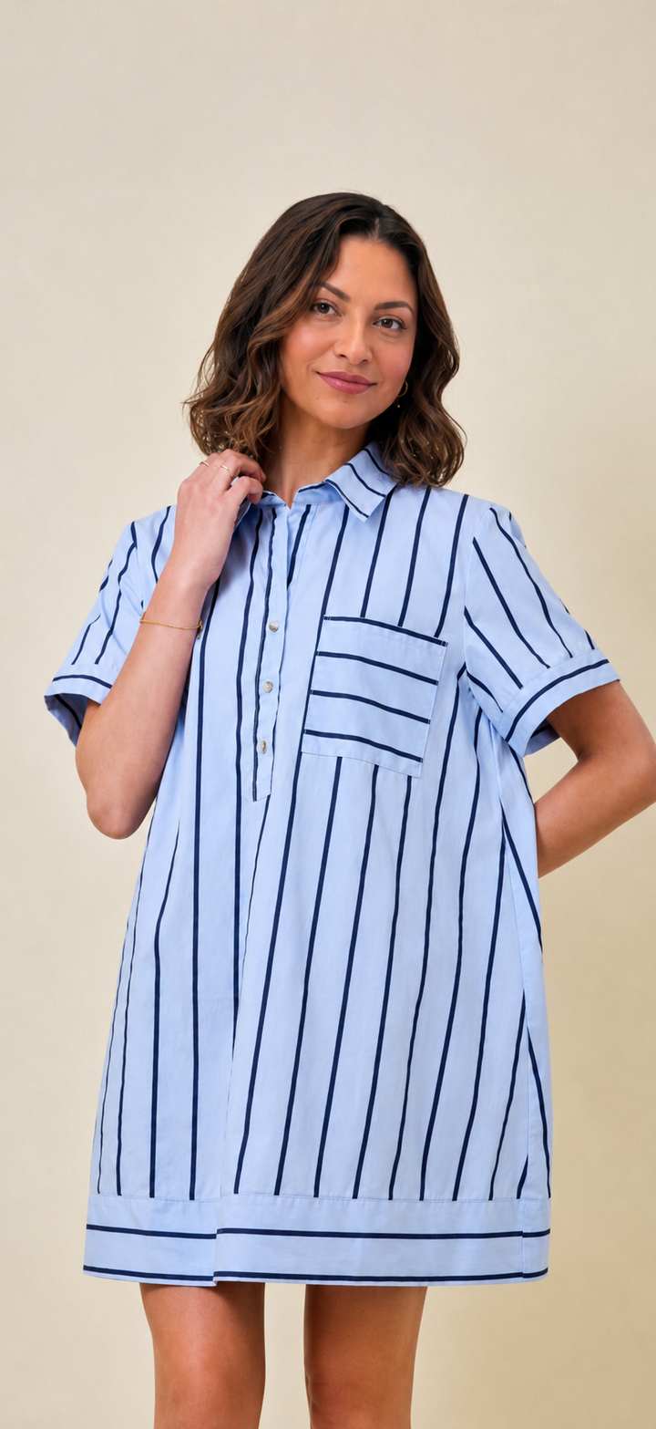 Blue Striped A-Line Collared Dress