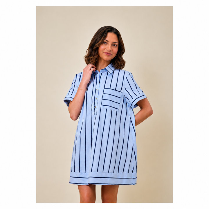 Blue Striped A-Line Collared Dress