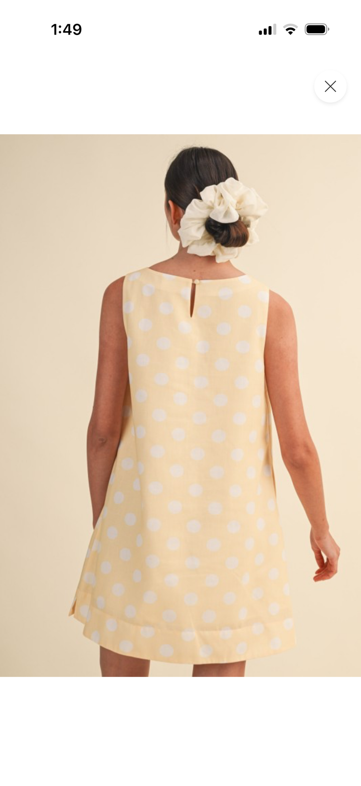 Butter Me Up Polka Dot Dress